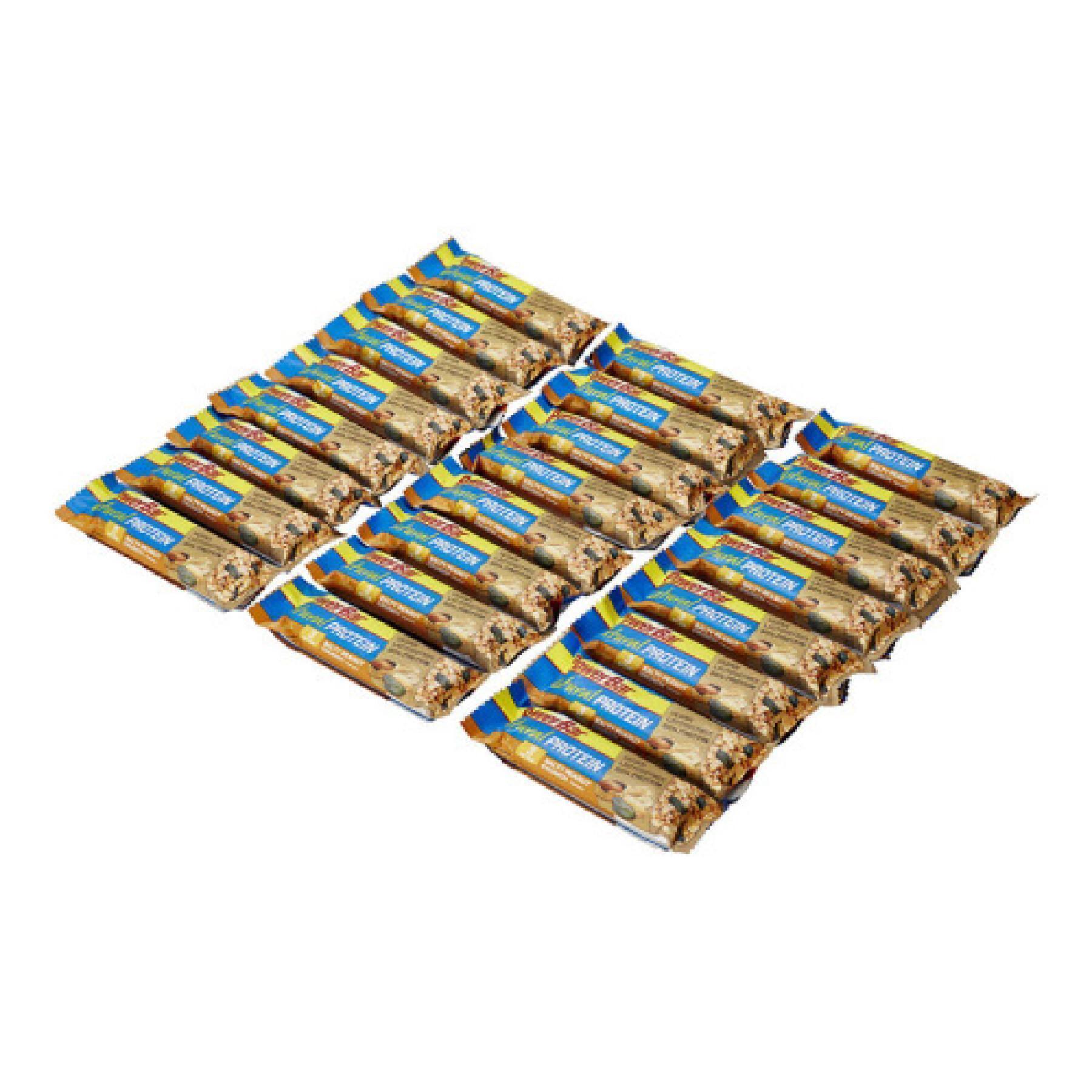 Batch of 24 bars PowerBar Natural Protein Vegan - Salty Peanut Crunch