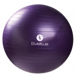 Gymball + box Sveltus 75cm