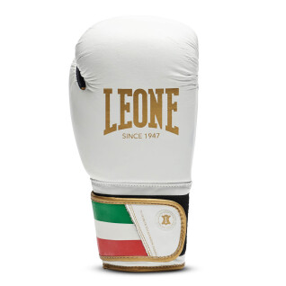 Boxing gloves Leone Italy 10 oz