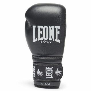 Boxing gloves Leone ambassador 10 oz