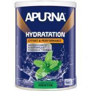 Energy drink Apurna Menthe - 500g