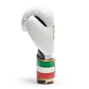 Boxing gloves Leone Italy 16 oz