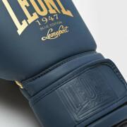 Boxing gloves Leone 10 oz