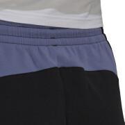 Women's shorts adidas Sportswear Colorblock